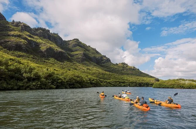 Kipu Zipline Safari: Kayak, Hike & Zip