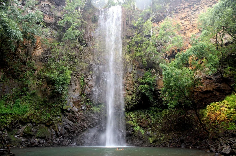 Kajaktour auf dem Wailua River und Wanderung zu den Secret Falls