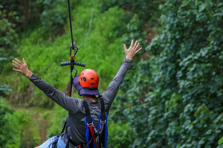 A zipline rider from behind with arms raised on a forest platform