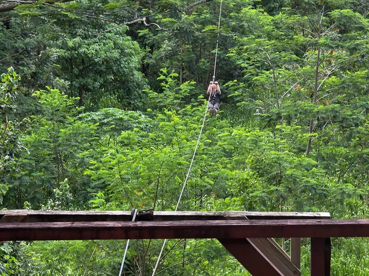 A rider far along a zipline cable over the forest
