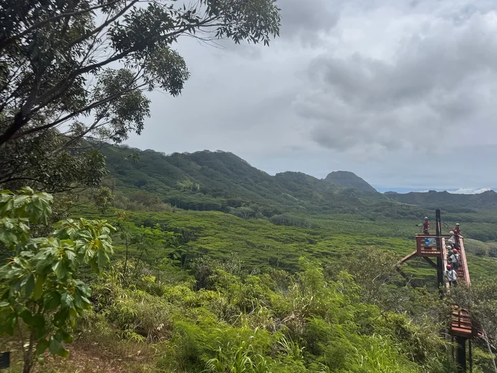 A zipline platform above a green valley on Kauai