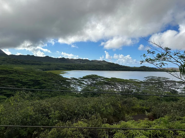 Green hills and Waita Reservoir seen from the zipline course